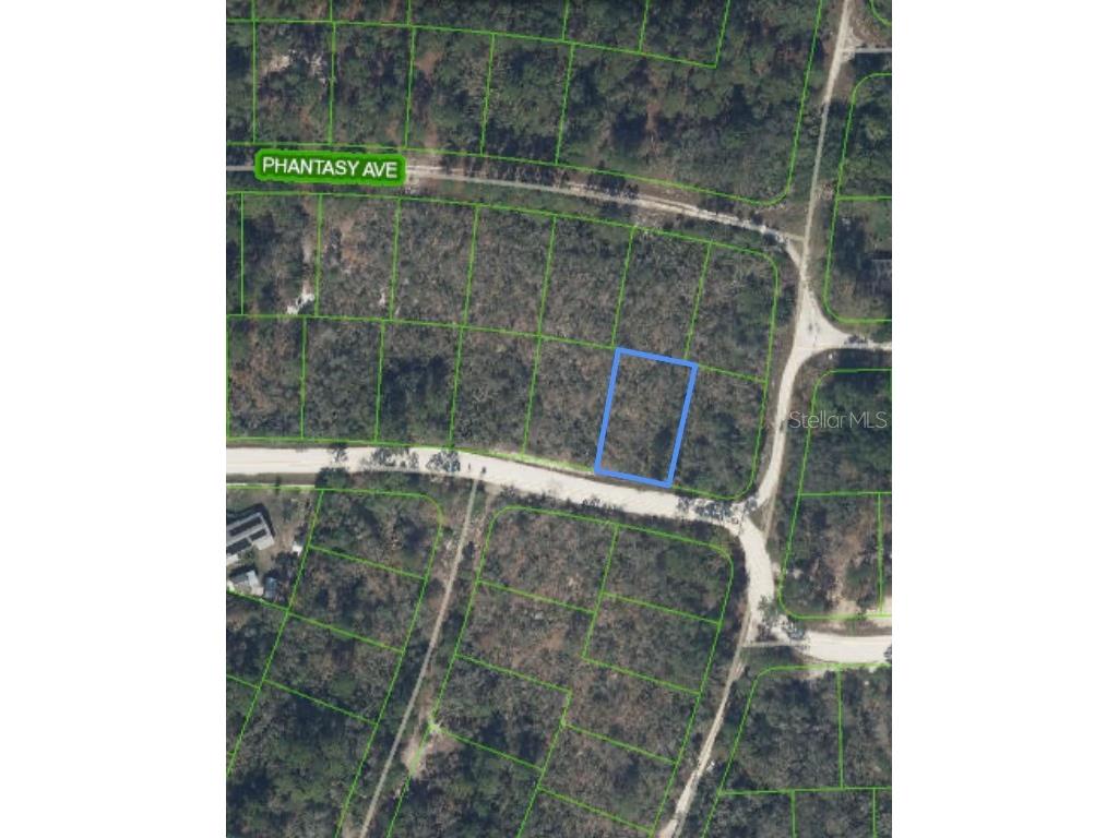 284 Deerwalk Avenue Lake Placid FL 33852 O6207617 image4