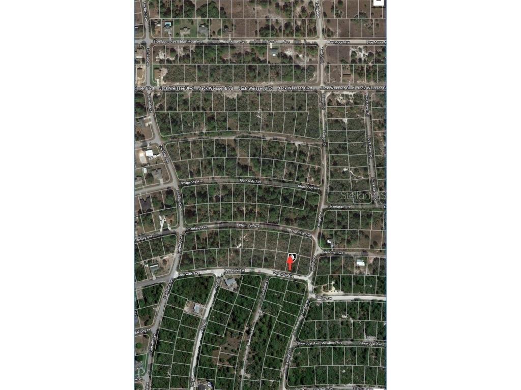 284 Deerwalk Avenue Lake Placid FL 33852 O6207617 image5