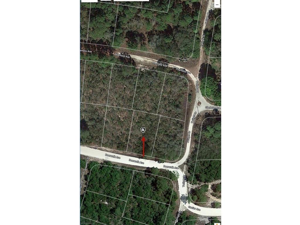 284 Deerwalk Avenue Lake Placid FL 33852 O6207617 image6