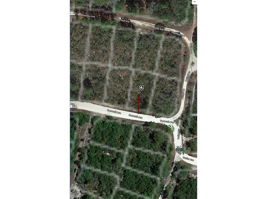 284 Deerwalk Avenue Lake Placid FL 33852 O6207617 image7