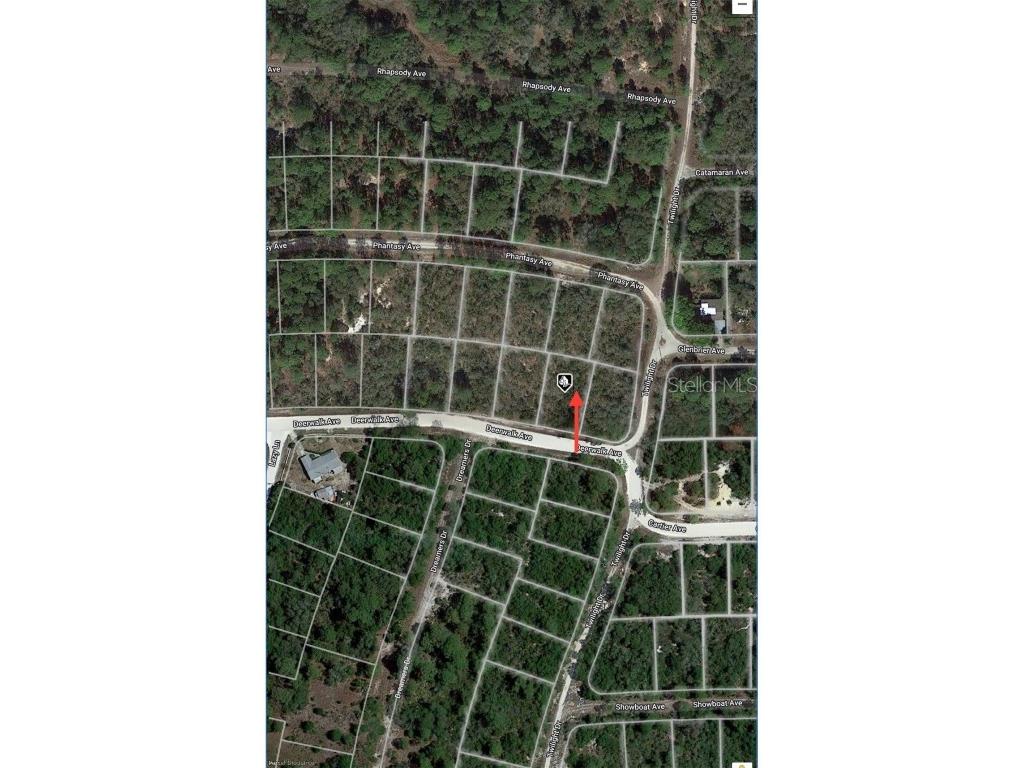 284 Deerwalk Avenue Lake Placid FL 33852 O6207617 image8