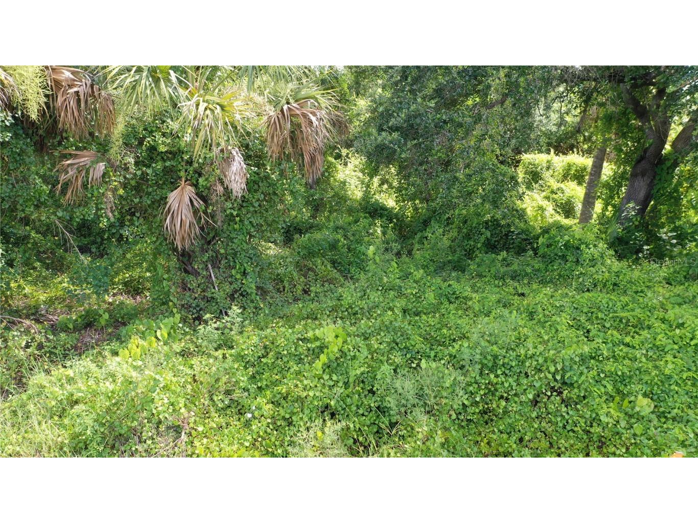 284 Hinton Street Port Charlotte FL 33954 - DORCHESTER WATERWAY C7513525 image11