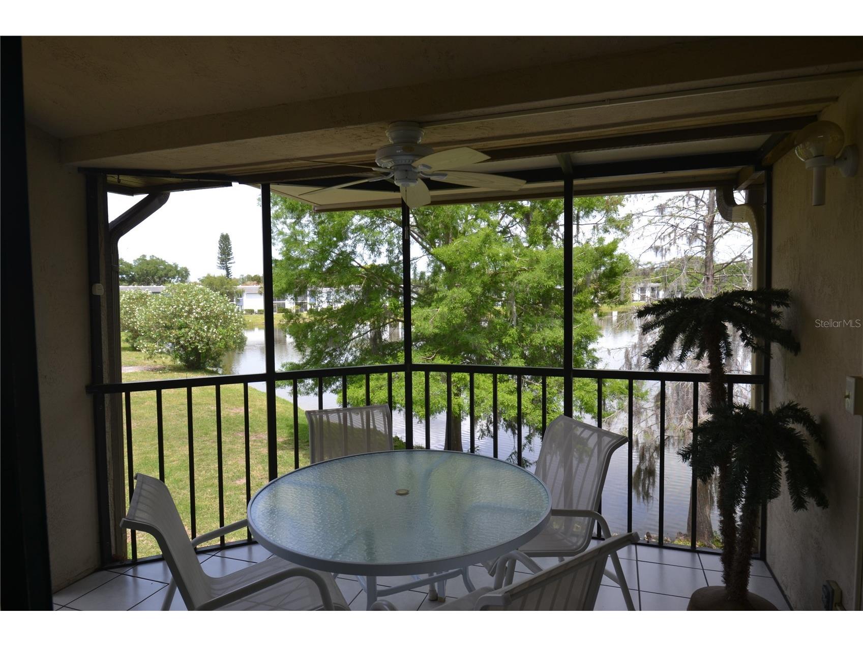 284 Woodlake Wynde Oldsmar FL 34677 TB8494637 image18