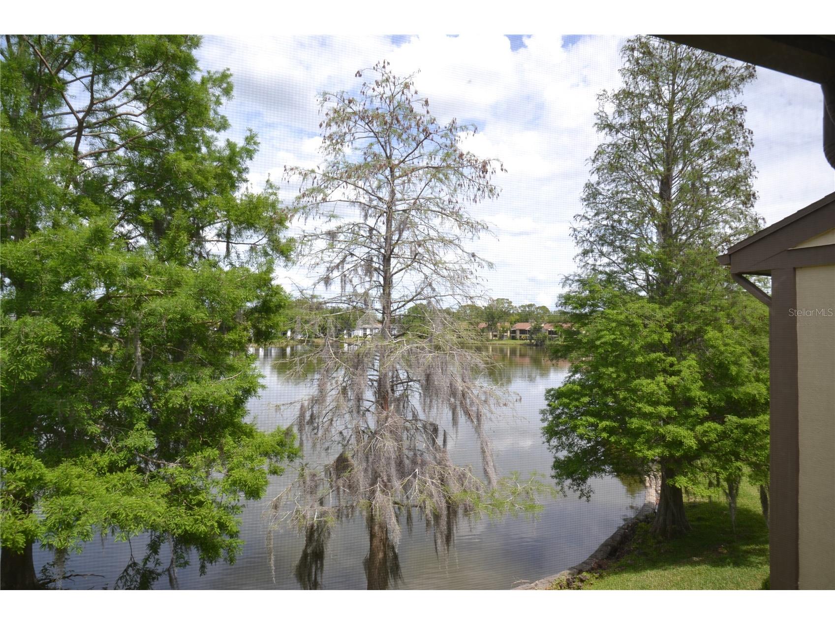 284 Woodlake Wynde Oldsmar FL 34677 TB8494637 image20