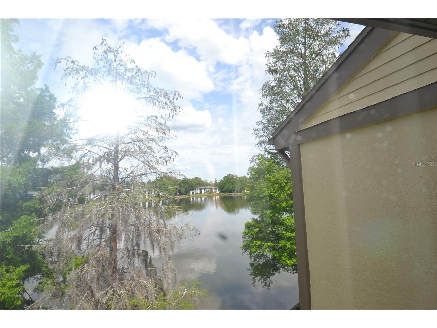 284 Woodlake Wynde Oldsmar FL 34677 TB8494637 image32