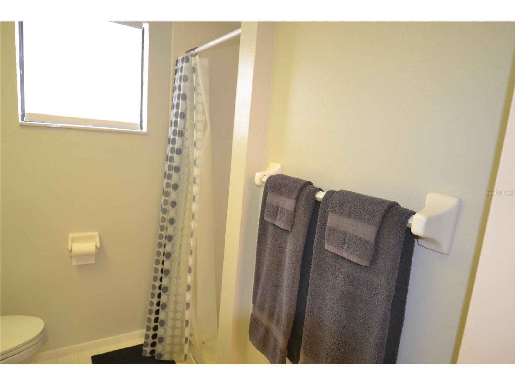 284 Woodlake Wynde Oldsmar FL 34677 TB8494637 image35