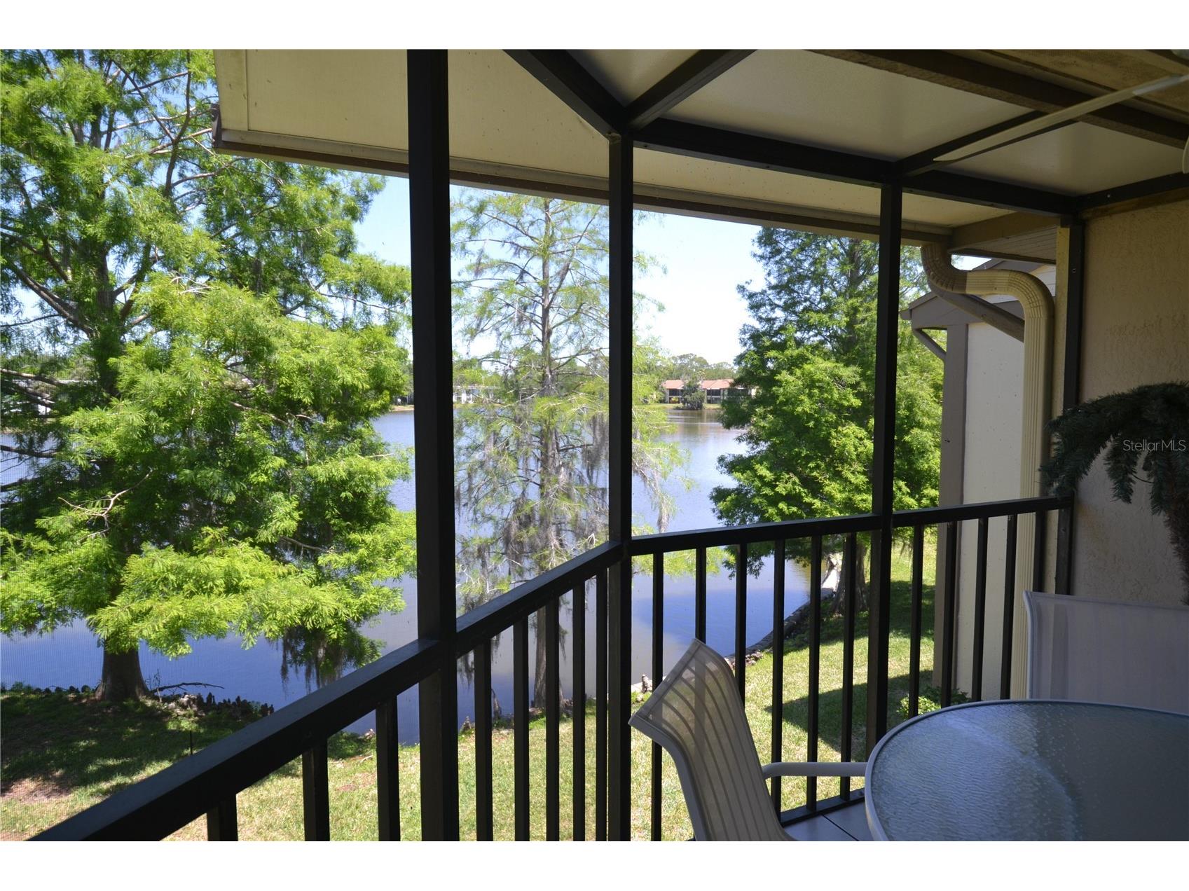 284 Woodlake Wynde Oldsmar FL 34677 TB8494637 image41