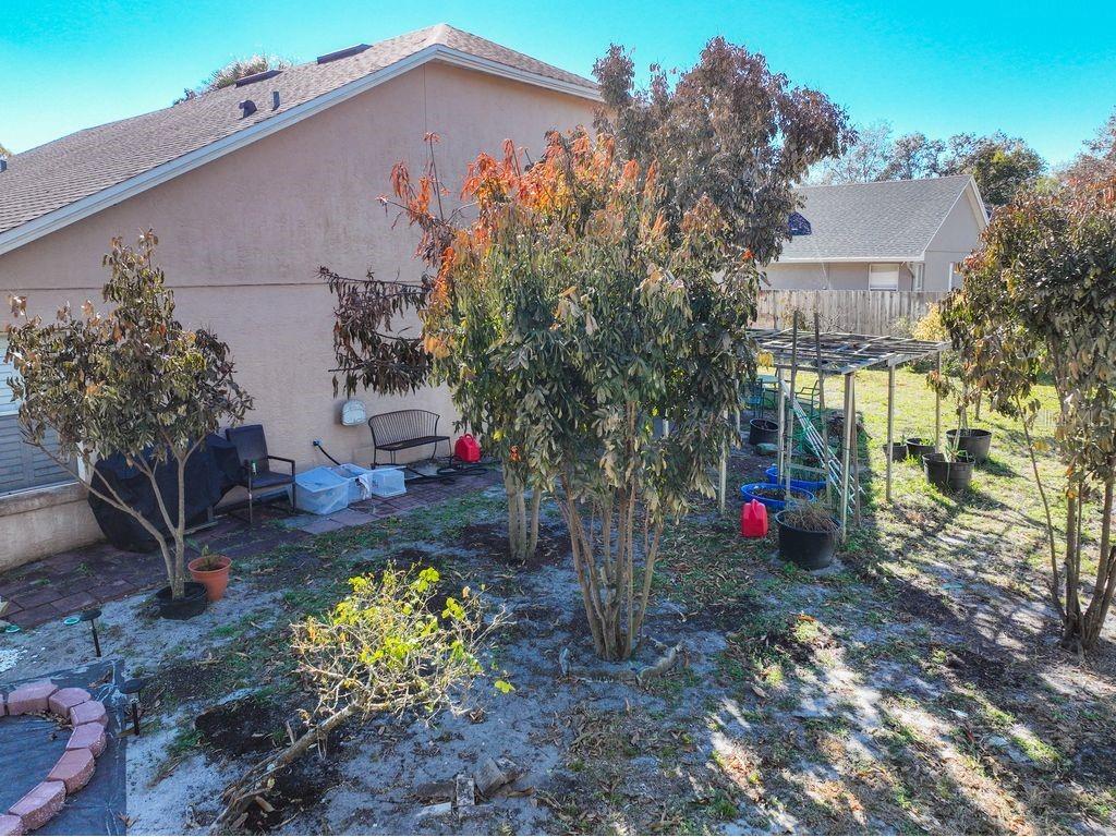 2840 Lexington Court Oviedo FL 32765 O6373607 image39