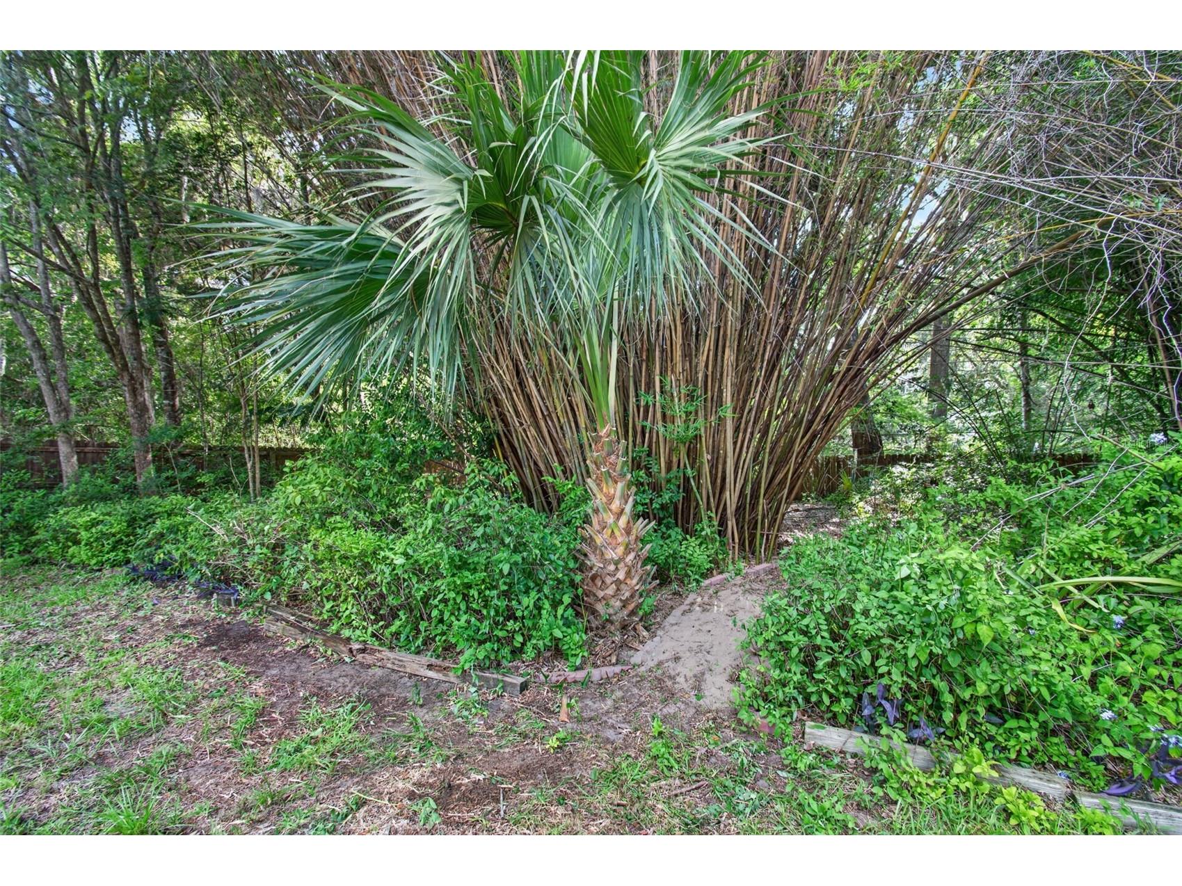 2840 NW 27th Terrace Gainesville FL 32605 GC541681 image43