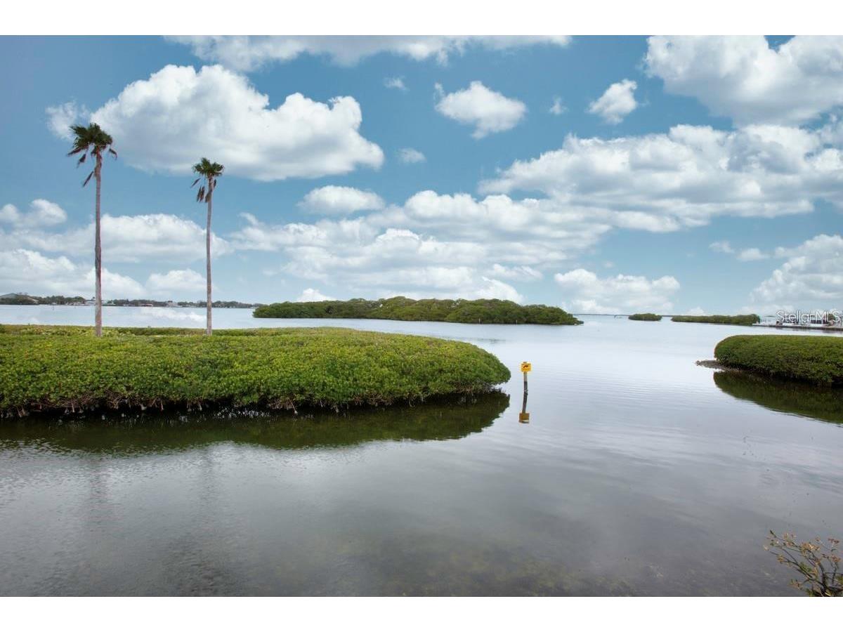2840 Trinidad Way Palmetto FL 34221 A4647860 image33