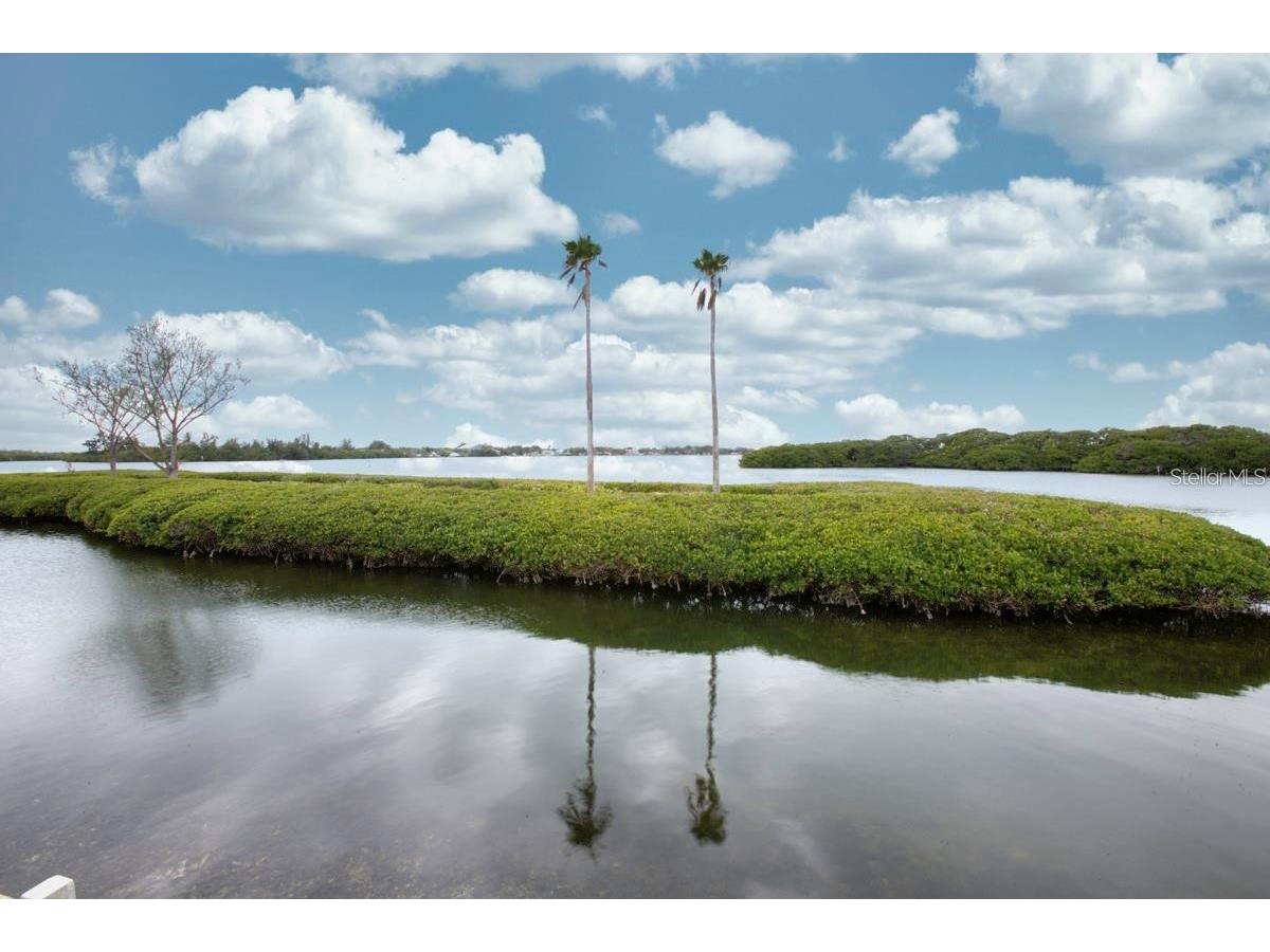2840 Trinidad Way Palmetto FL 34221 A4647860 image34