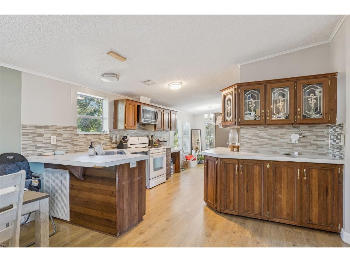 28405 SE 175th Street Umatilla FL 32784 O6353060 image9