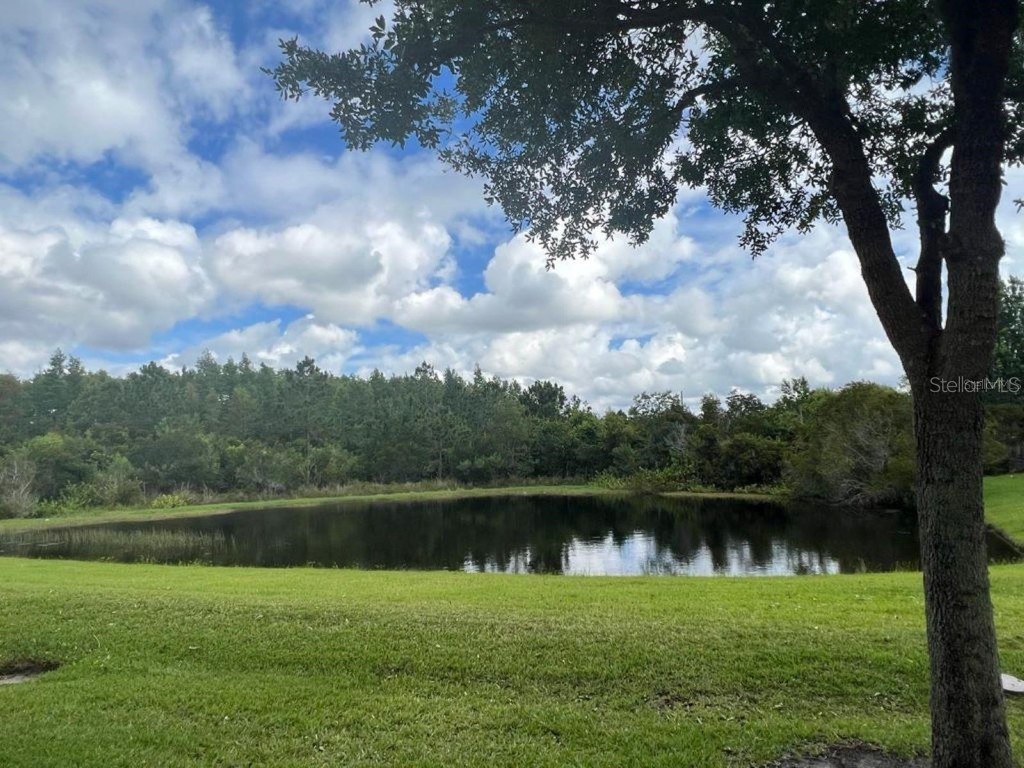 2841 Adelaide Court Orlando FL 32824 O6309814 image17