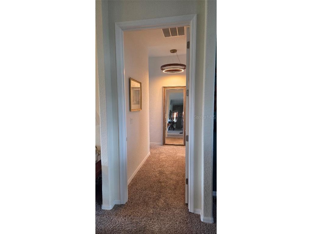 28410 Wildlife Lane Brooksville FL 34602 TB8399215 image19