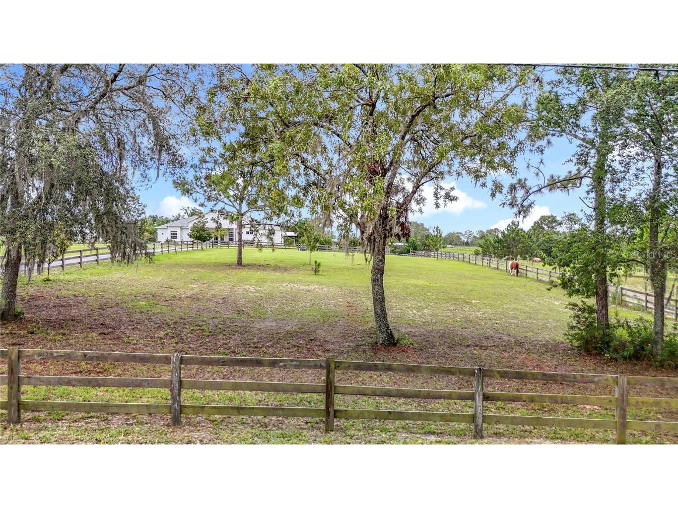 28410 Wildlife Lane Brooksville FL 34602 TB8399215 image55