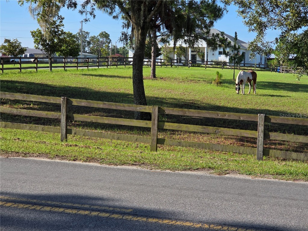 28410 Wildlife Lane Brooksville FL 34602 TB8399215 image61