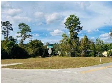 28417 Bougainvillea Avenue Paisley FL 32767 V4931594 image1