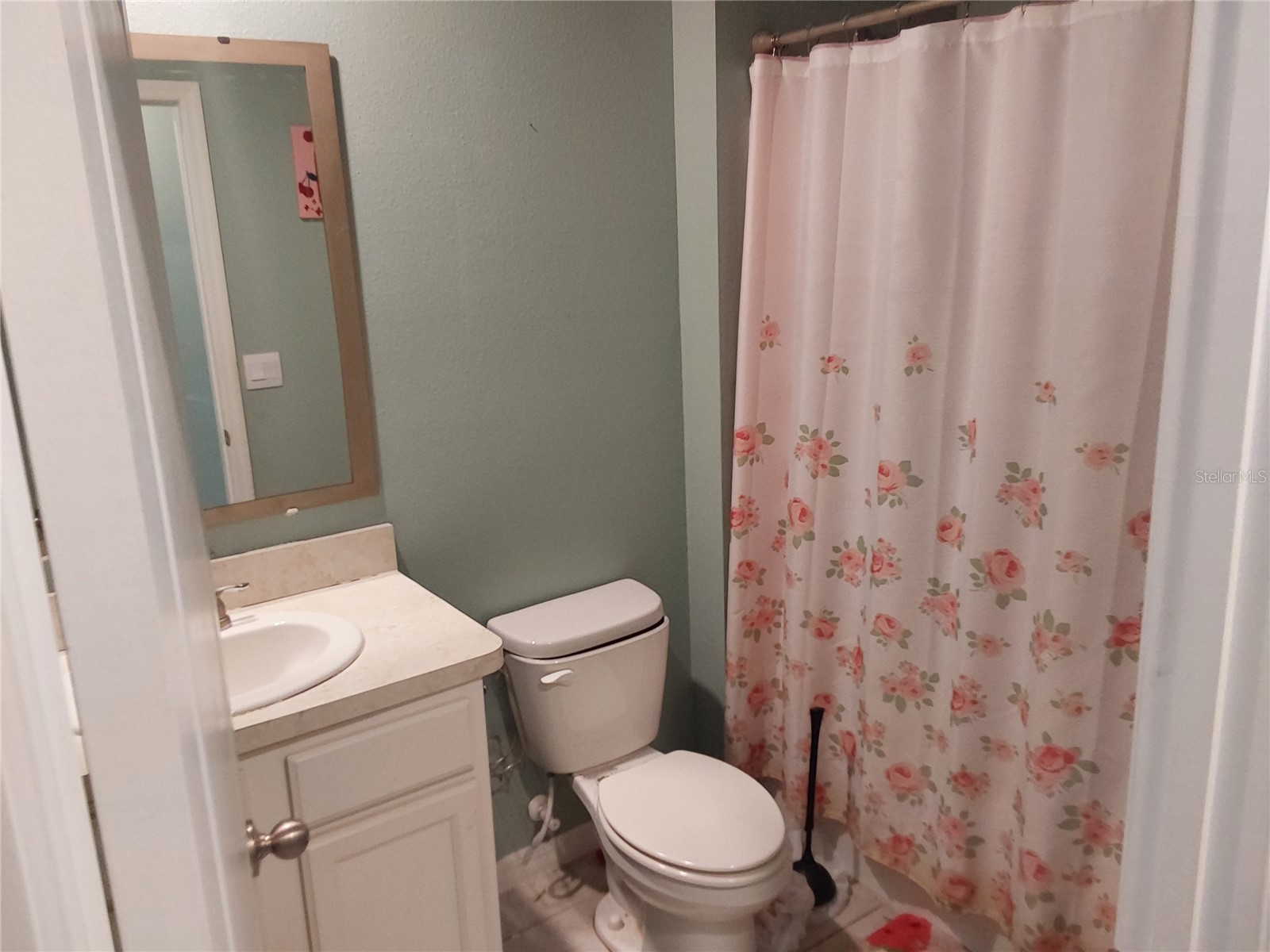 2842 Common Crane Court Harmony FL 34773 O6398701 image11