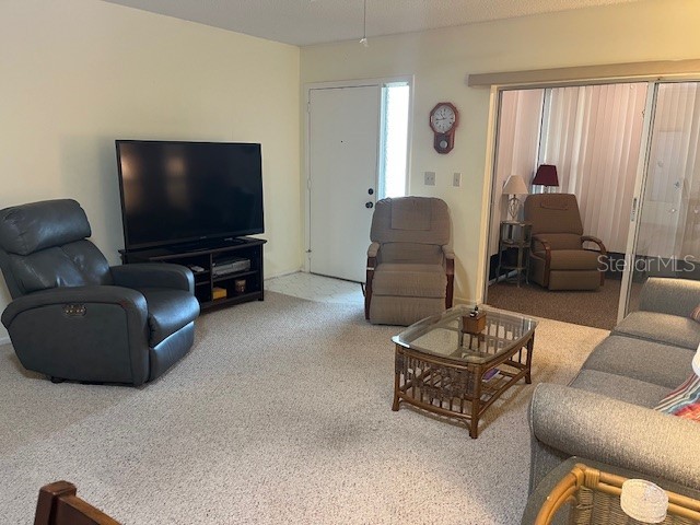 2842 Highlands Boulevard #A Palm Harbor FL 34684 - LAKE TARPON TB8463329 image11