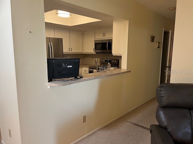 2842 Highlands Boulevard #A Palm Harbor FL 34684 - LAKE TARPON TB8463329 image12