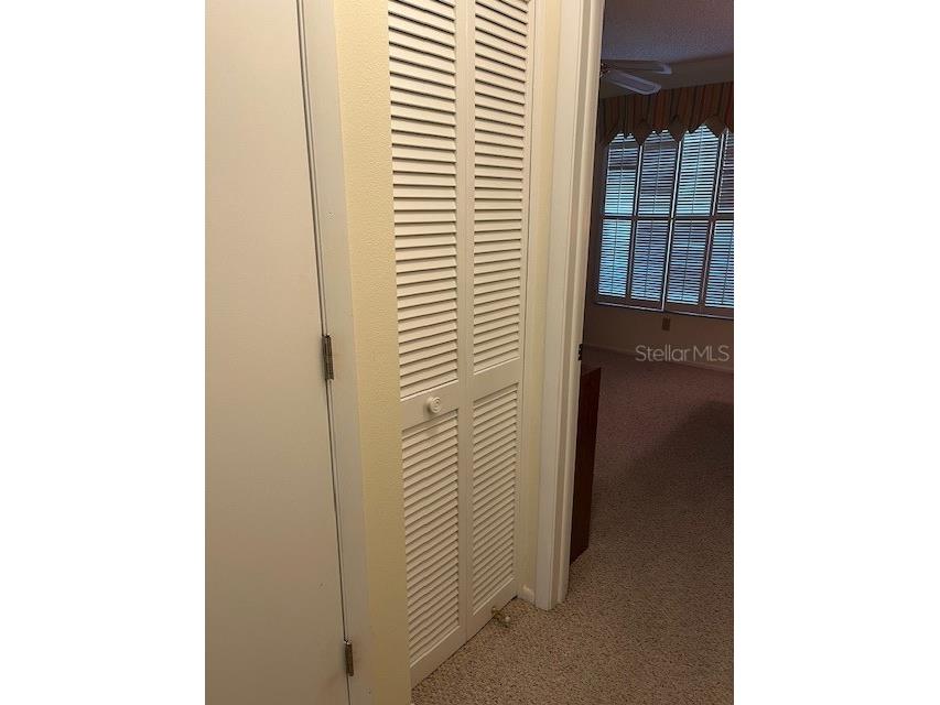 2842 Highlands Boulevard #A Palm Harbor FL 34684 - LAKE TARPON TB8463329 image16