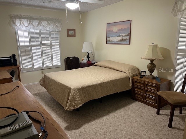 2842 Highlands Boulevard #A Palm Harbor FL 34684 - LAKE TARPON TB8463329 image17