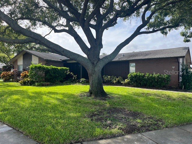 2842 Highlands Boulevard #A Palm Harbor FL 34684 - LAKE TARPON TB8463329 image2