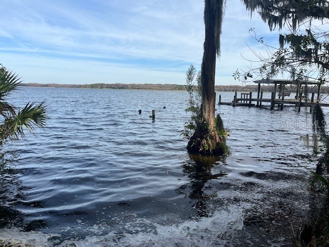 2842 Highlands Boulevard #A Palm Harbor FL 34684 - LAKE TARPON TB8463329 image20