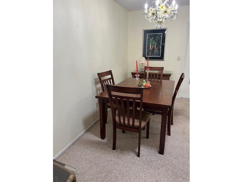 2842 Highlands Boulevard #A Palm Harbor FL 34684 - LAKE TARPON TB8463329 image9