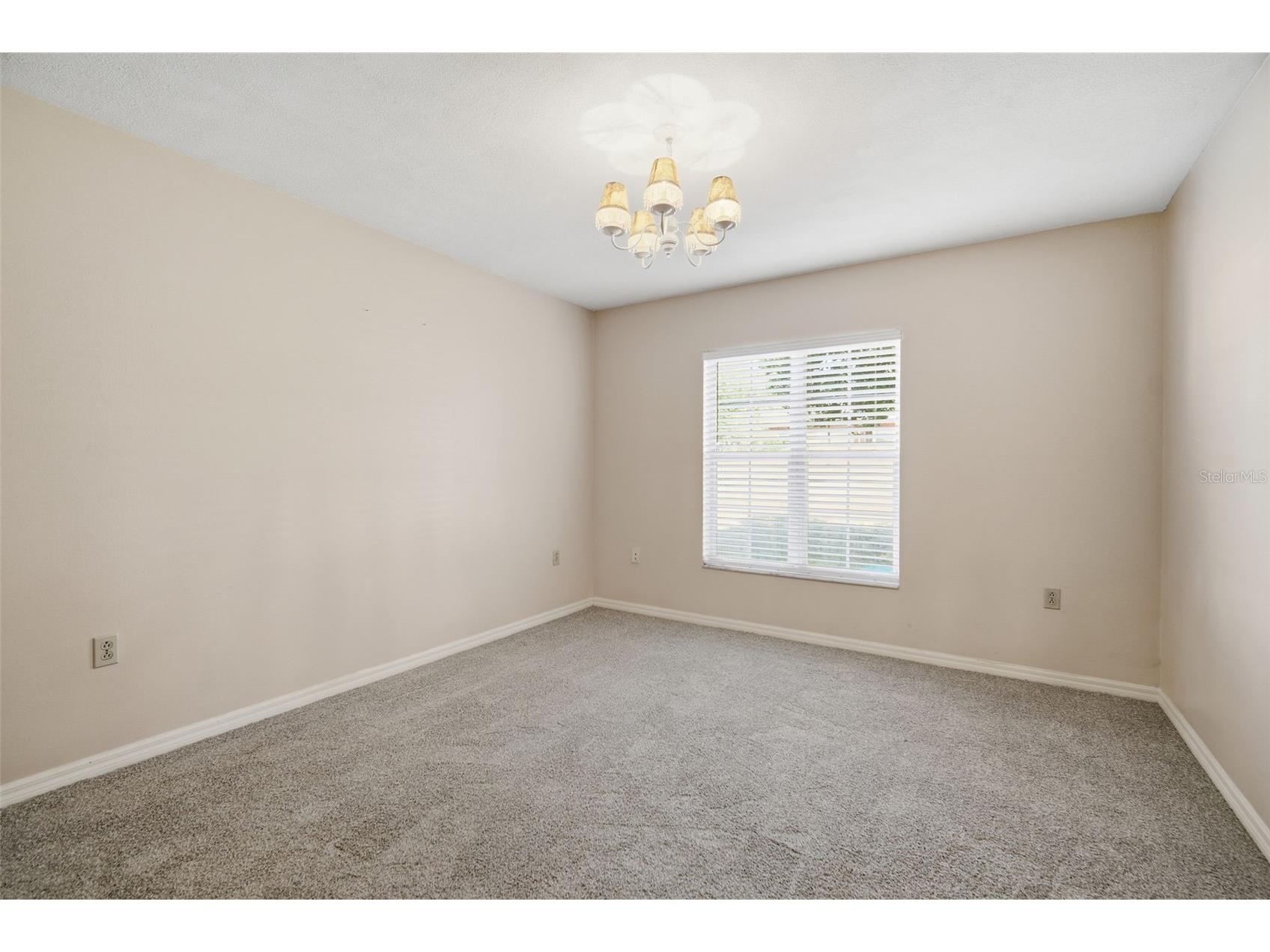 2842 Springdell Circle Valrico FL 33596 TB8473781 image36