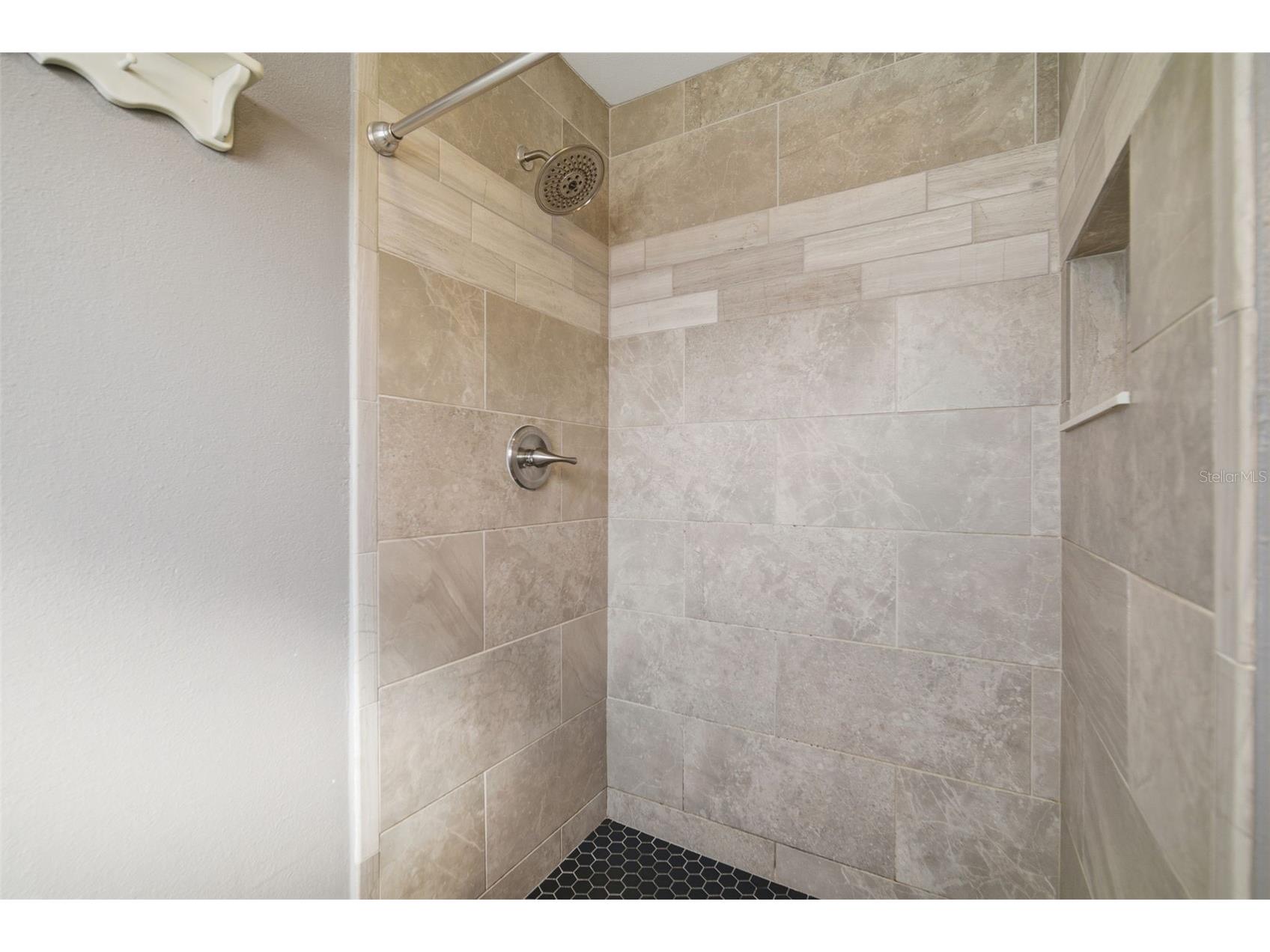 2842 Springdell Circle Valrico FL 33596 TB8473781 image56