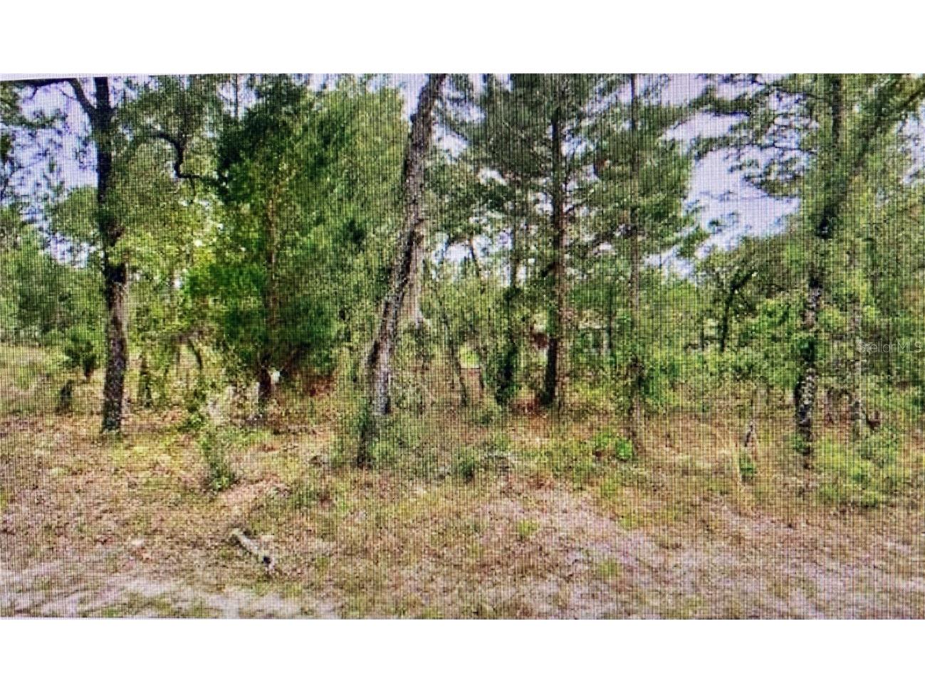 2842 W Leeward Place Citrus Springs FL 34433 TB8400959 image1