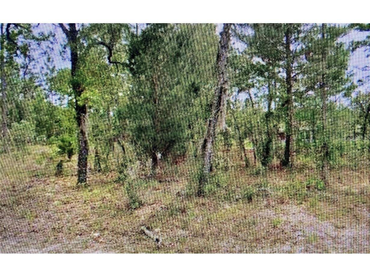 2842 W Leeward Place Citrus Springs FL 34433 TB8400959 image2