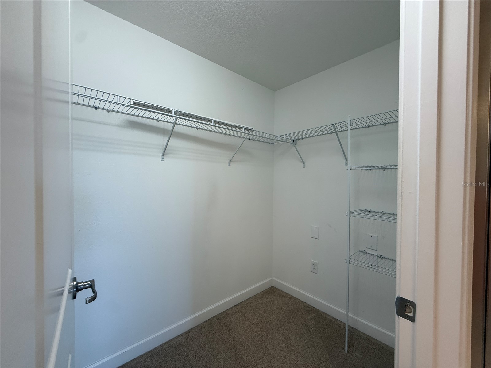 28423 Pleasant Bay Loop Wesley Chapel FL 33543 TB8531003 image28