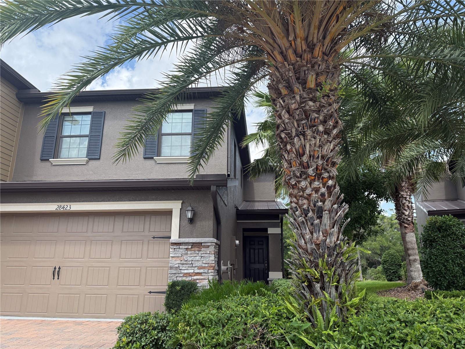 28423 Pleasant Bay Loop Wesley Chapel FL 33543 TB8531003 image3