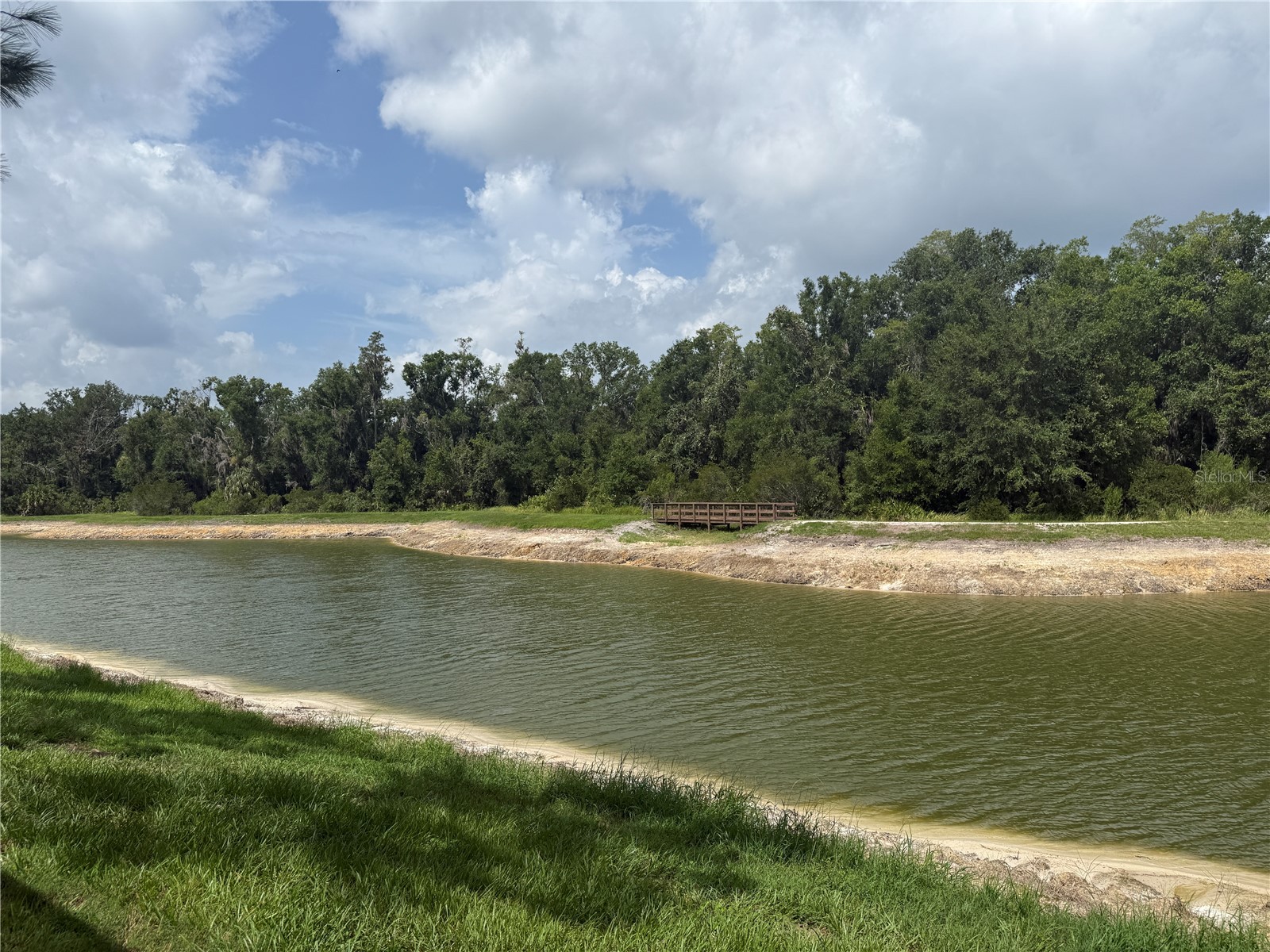 28423 Pleasant Bay Loop Wesley Chapel FL 33543 TB8531003 image35