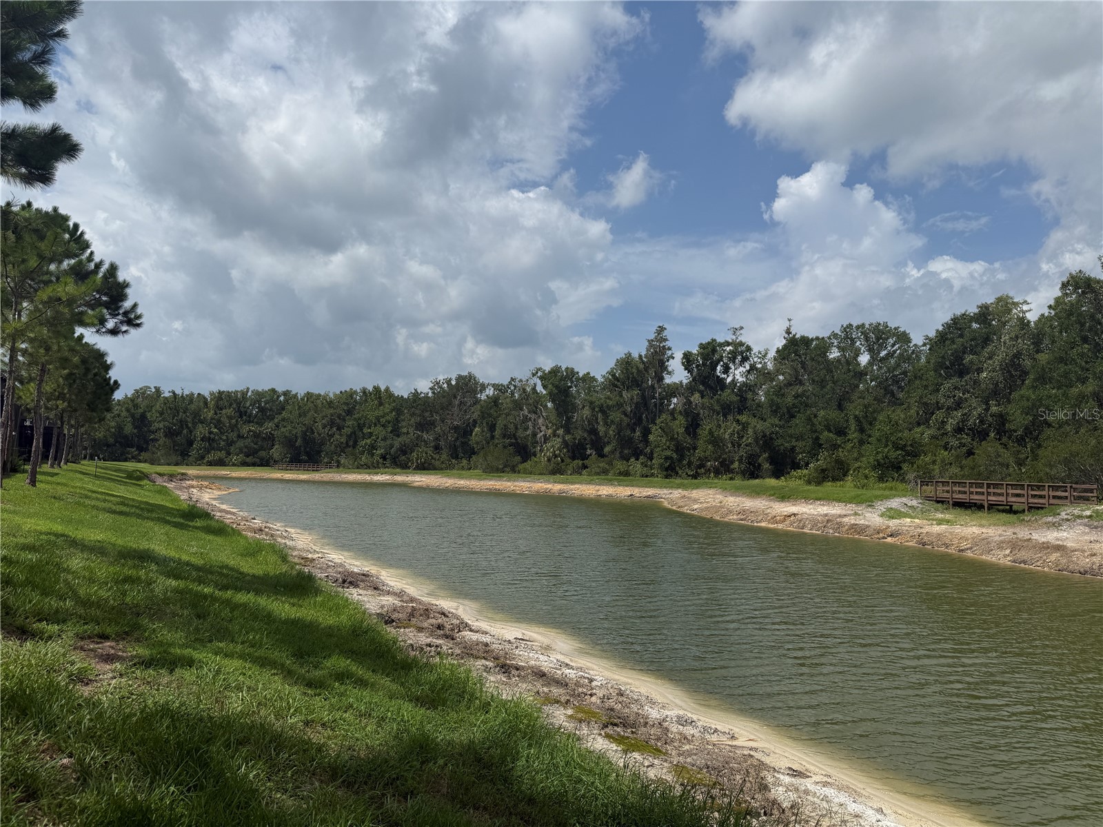 28423 Pleasant Bay Loop Wesley Chapel FL 33543 TB8531003 image36