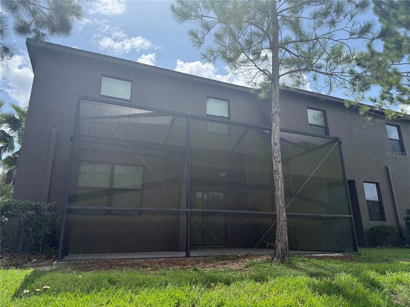 28423 Pleasant Bay Loop Wesley Chapel FL 33543 TB8531003 image4