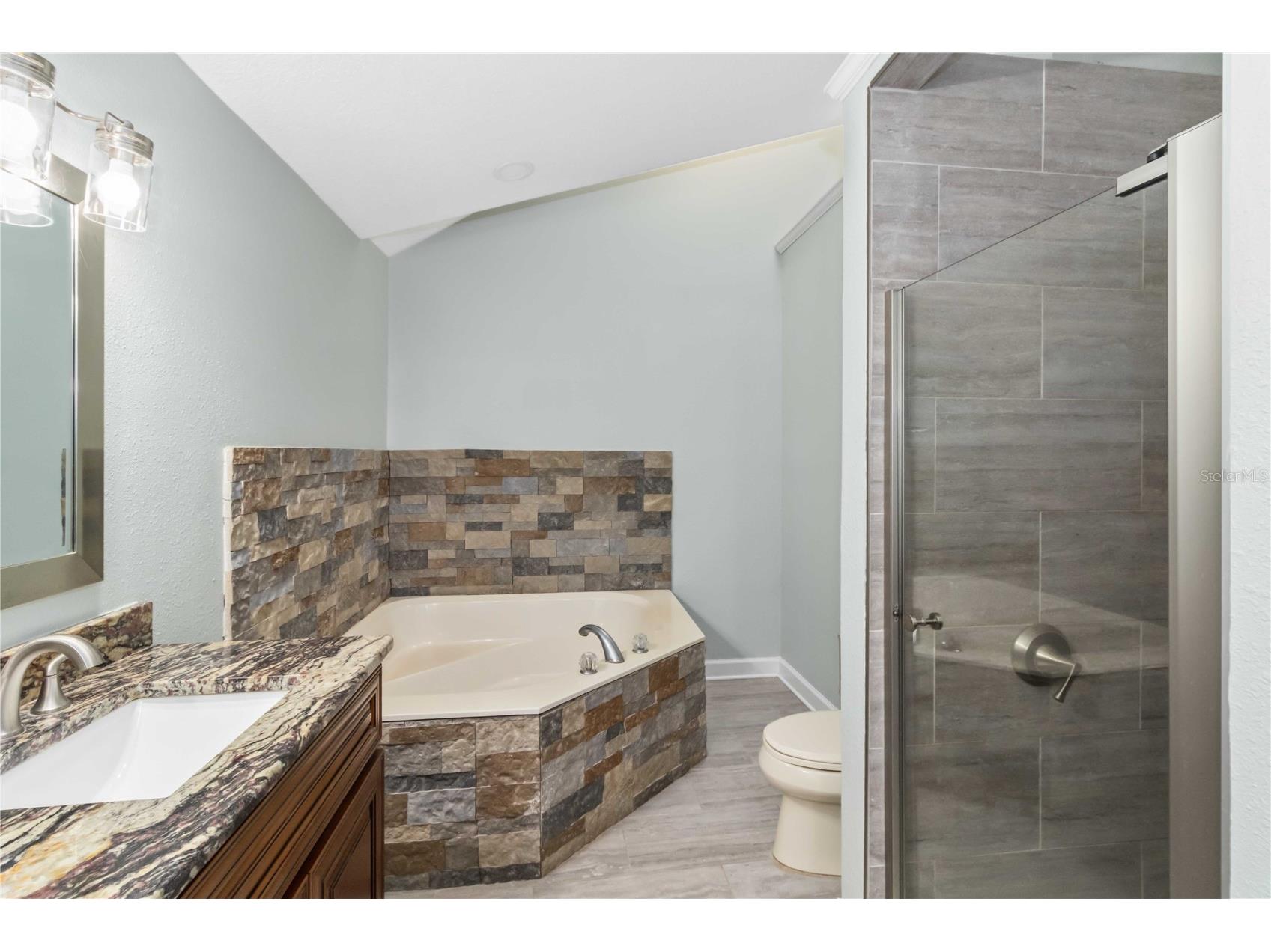28424 Deedra Drive Wesley Chapel FL 33544 A4693084 image22