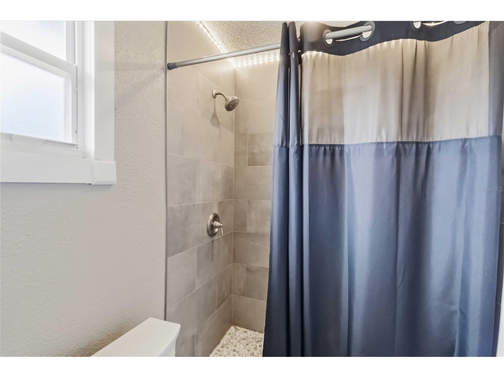 28424 Deedra Drive Wesley Chapel FL 33544 A4693084 image33