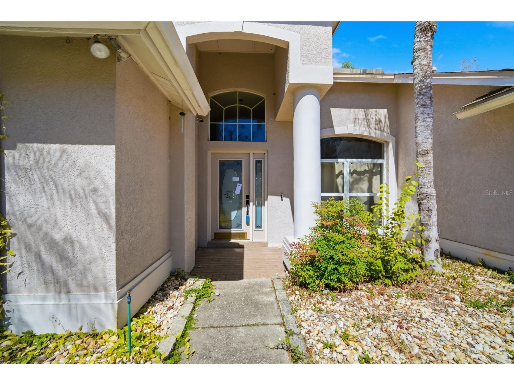 28427 Openfield Loop Wesley Chapel FL 33543 TB8484628 image2