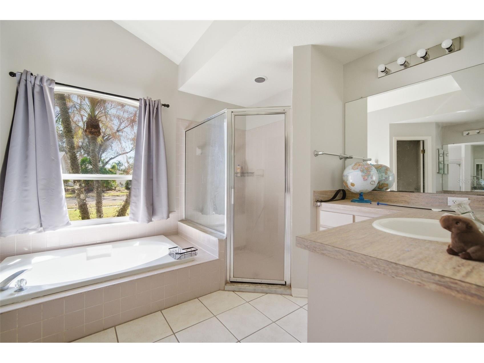 28427 Openfield Loop Wesley Chapel FL 33543 TB8484628 image40