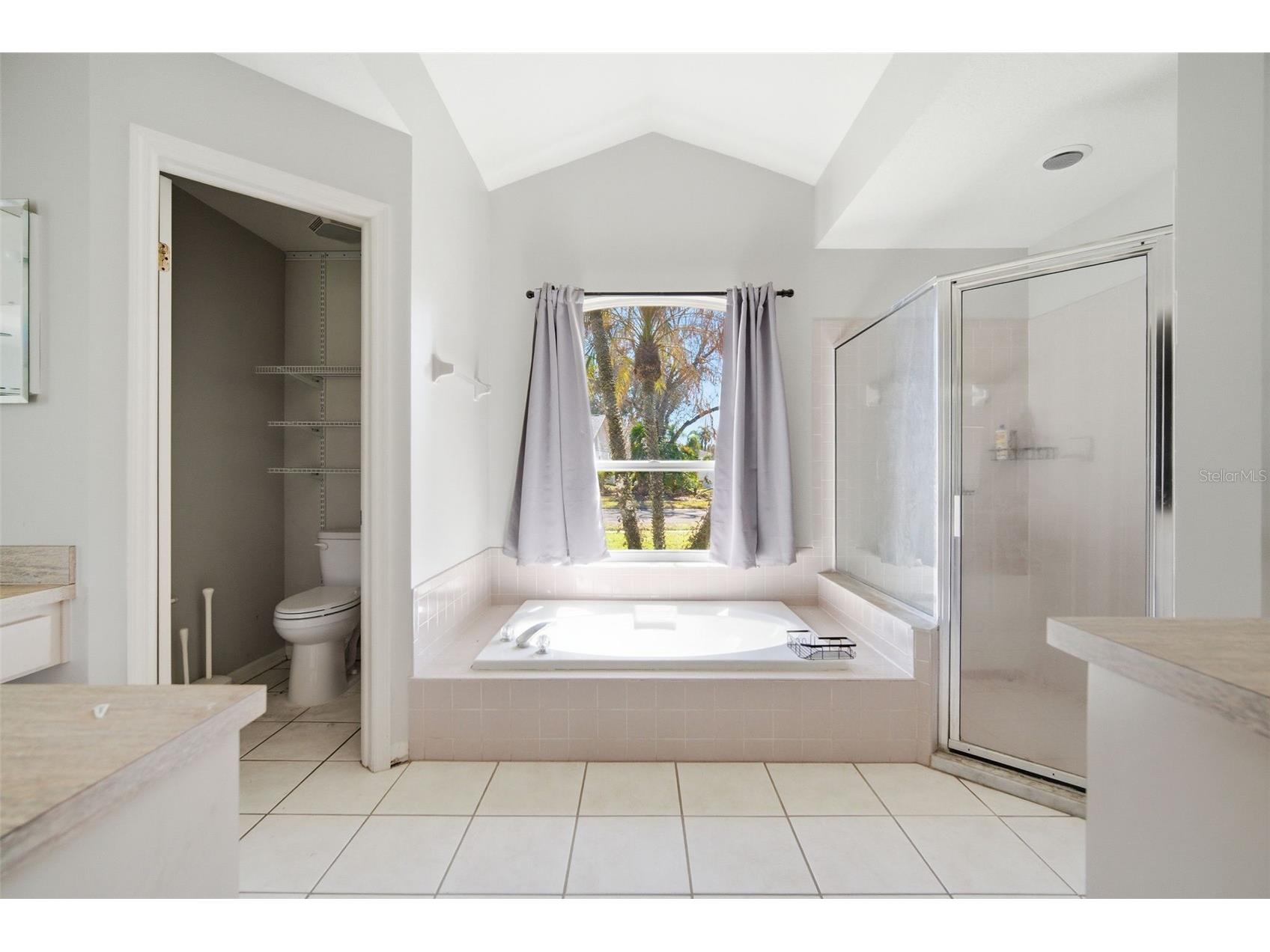 28427 Openfield Loop Wesley Chapel FL 33543 TB8484628 image41