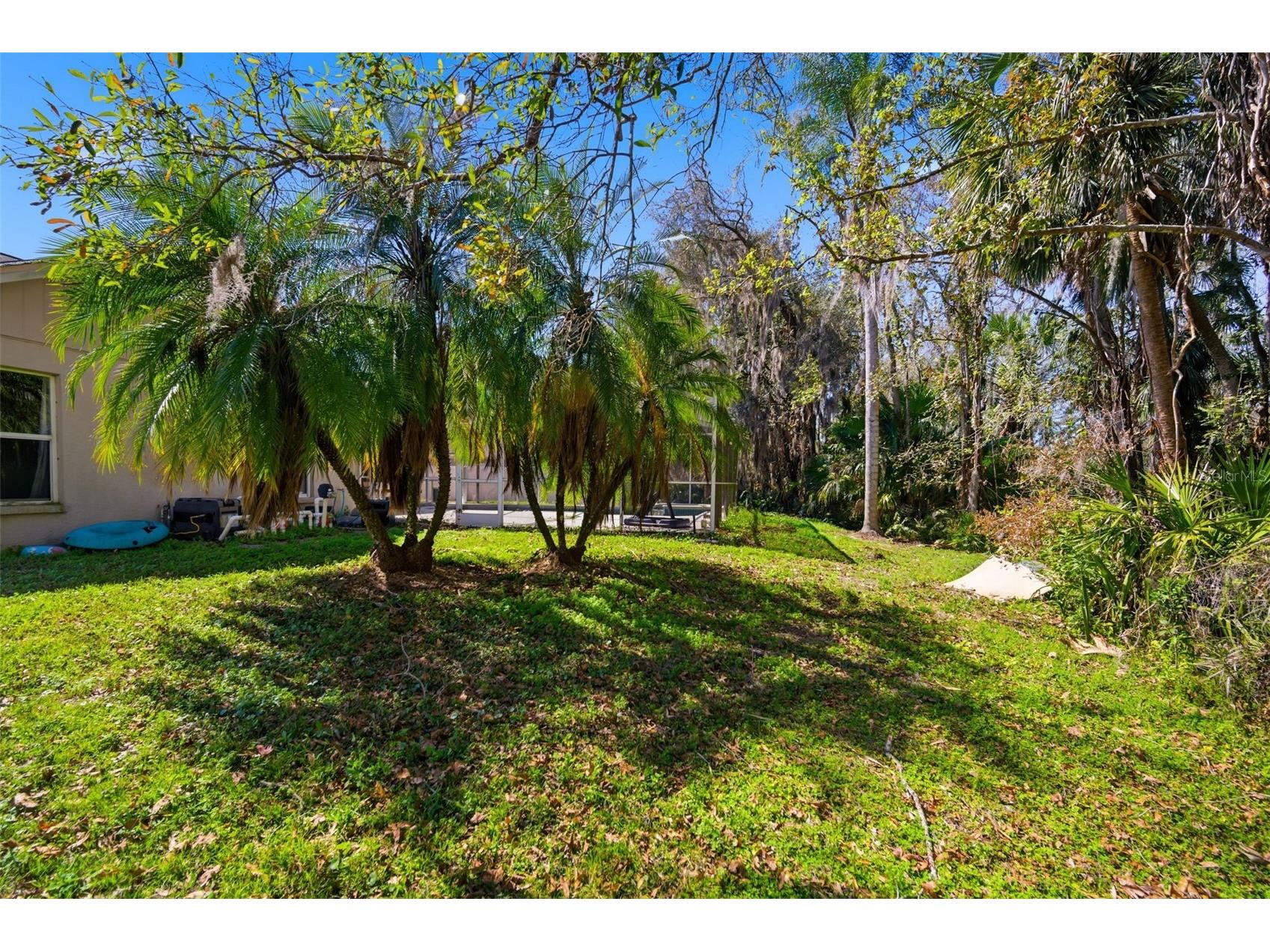 28427 Openfield Loop Wesley Chapel FL 33543 TB8484628 image50