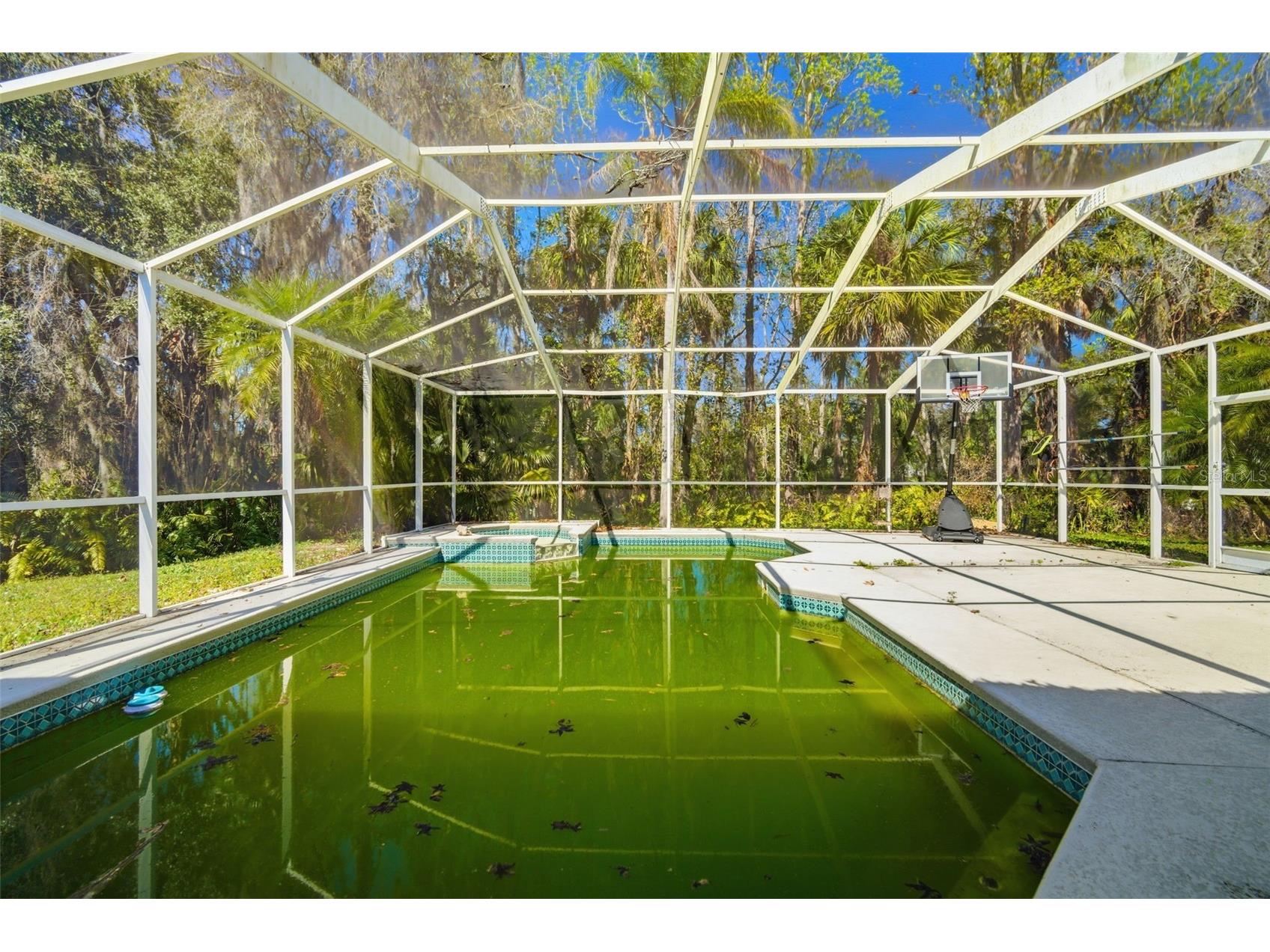 28427 Openfield Loop Wesley Chapel FL 33543 TB8484628 image54