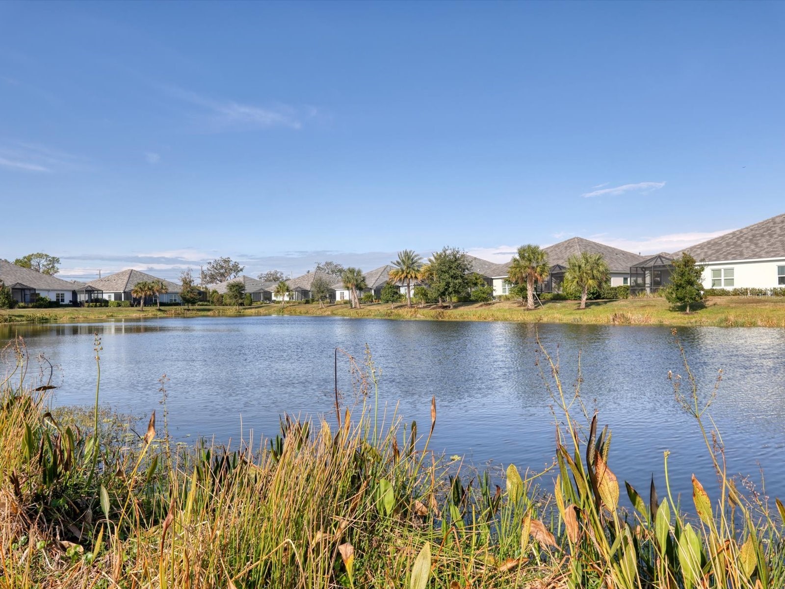 2843 Butterfly Jasmine Trail Sarasota FL 34240 A4679098 image28