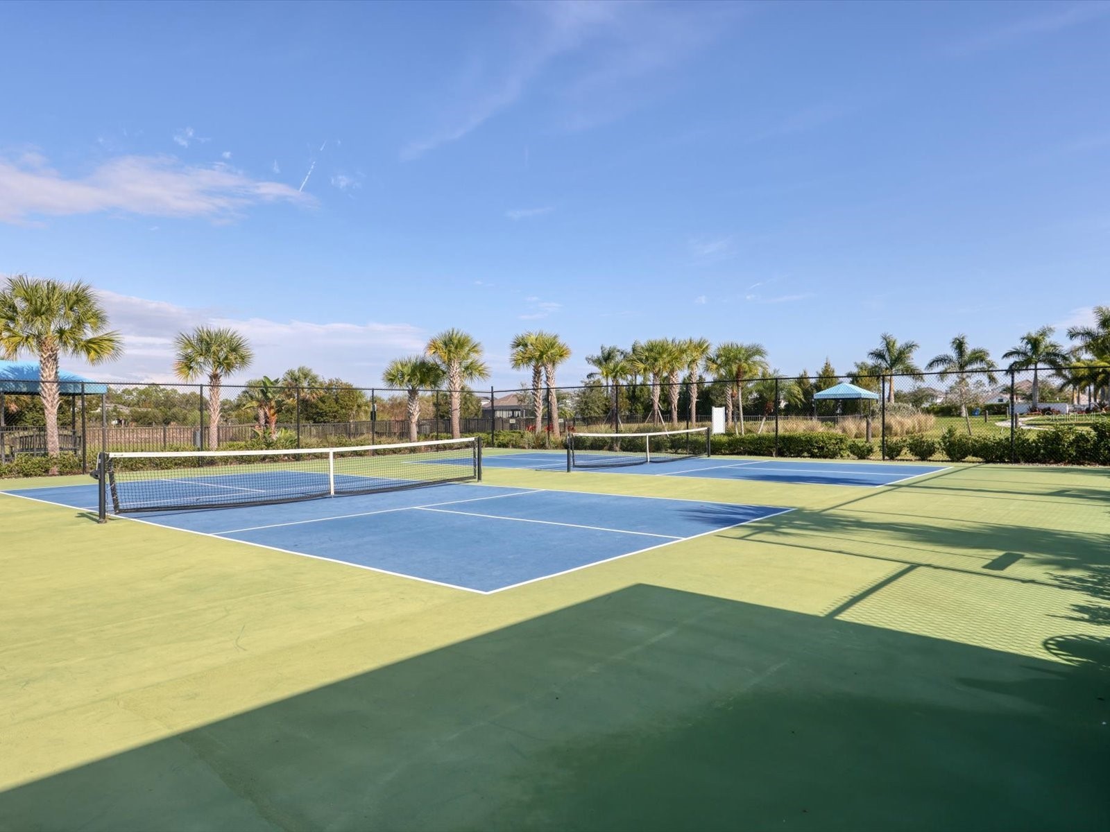 2843 Butterfly Jasmine Trail Sarasota FL 34240 A4679098 image42