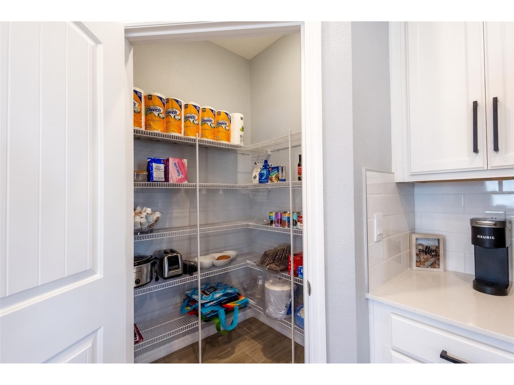 2843 Elio Hammock Drive Saint Cloud FL 34773 - Buck Lake O6421694 image35