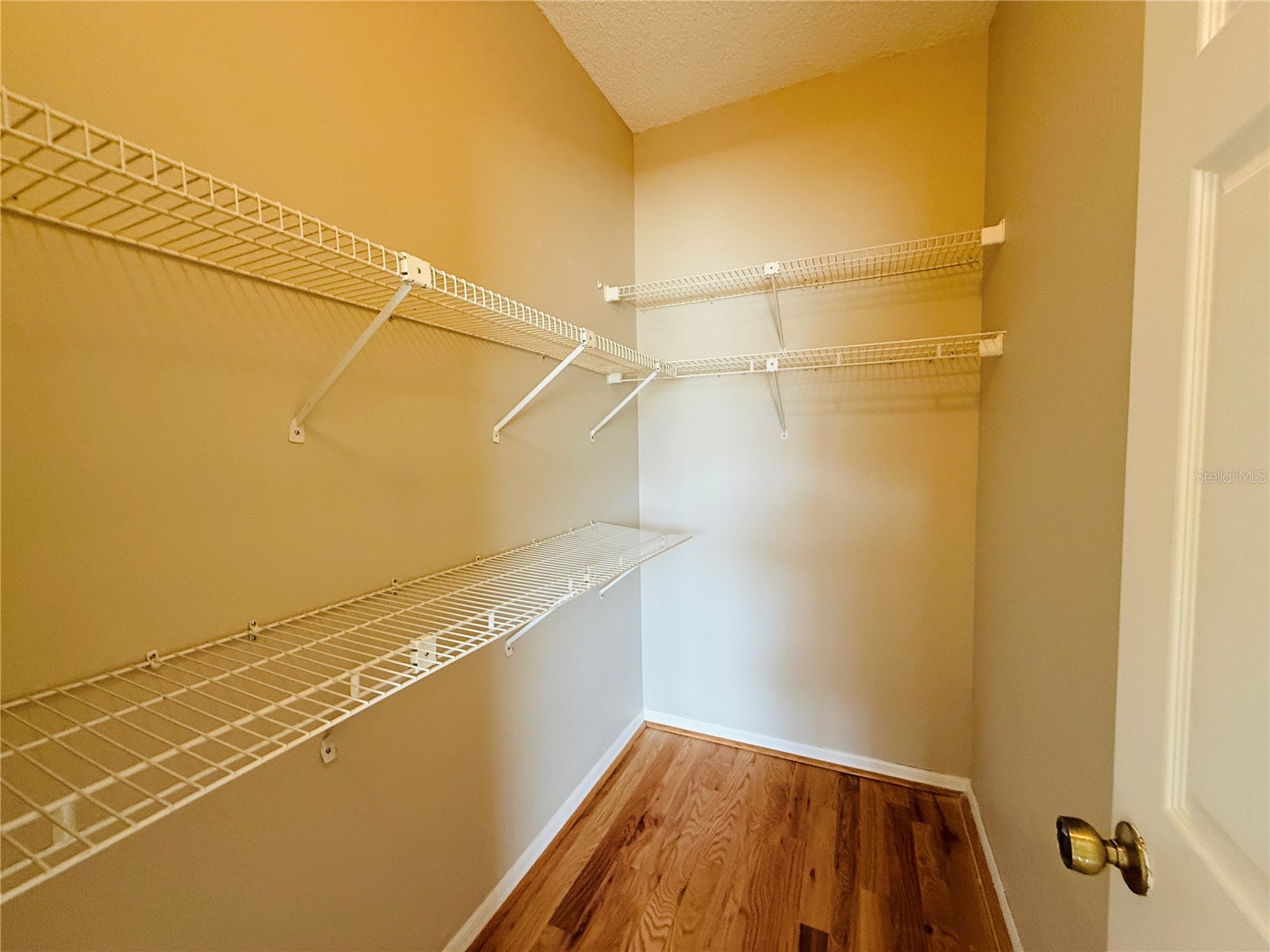 2843 Thaxton Drive #38 Palm Harbor FL 34684 TB8504234 image13