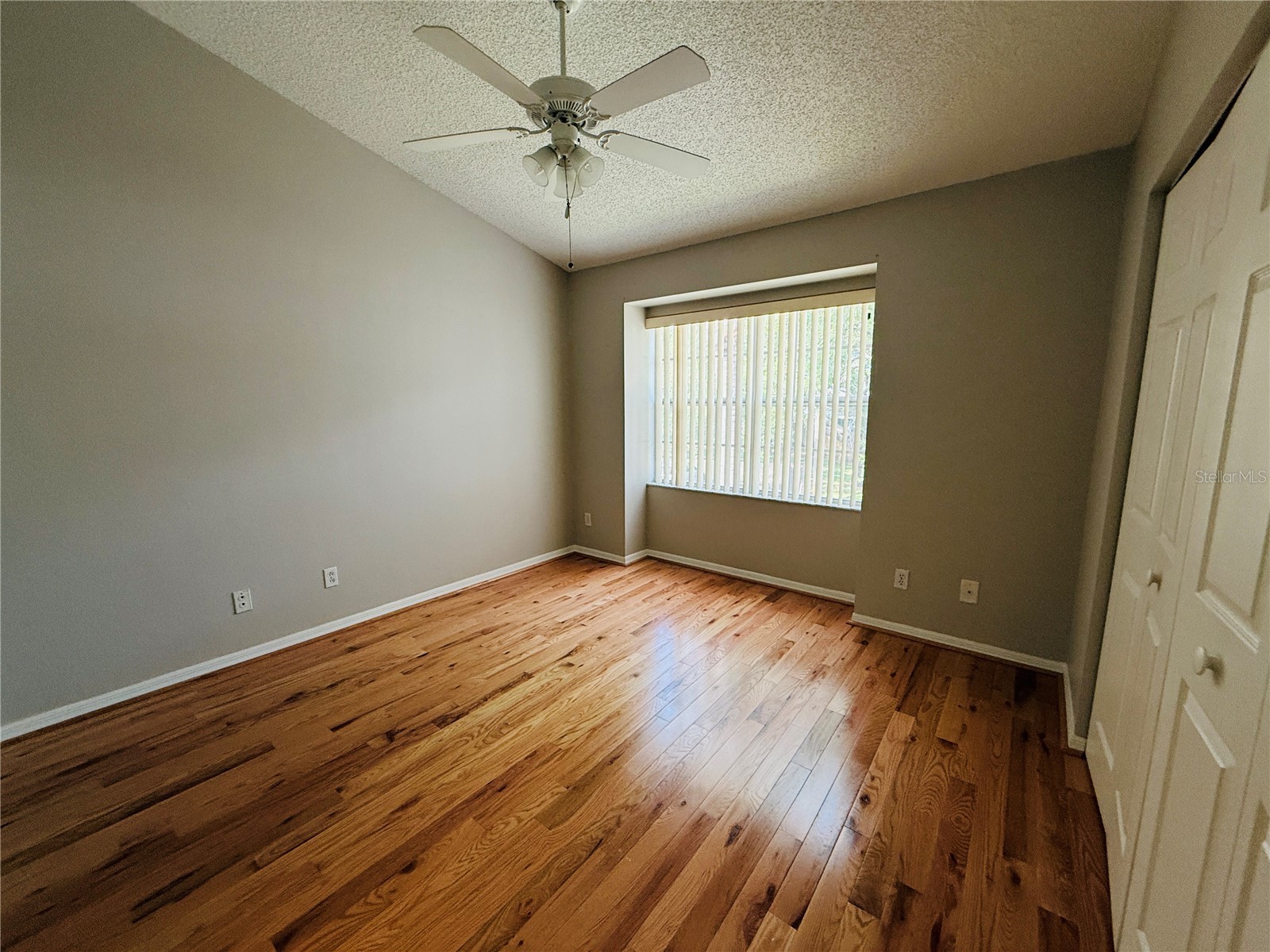 2843 Thaxton Drive #38 Palm Harbor FL 34684 TB8504234 image21